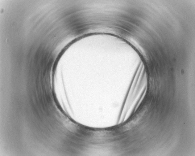 X0000088660988200706221631