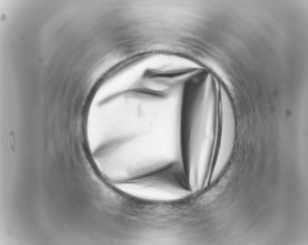 X0000088660991200706221631