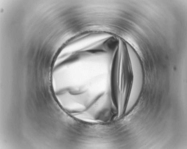 X0000088660992200706221631