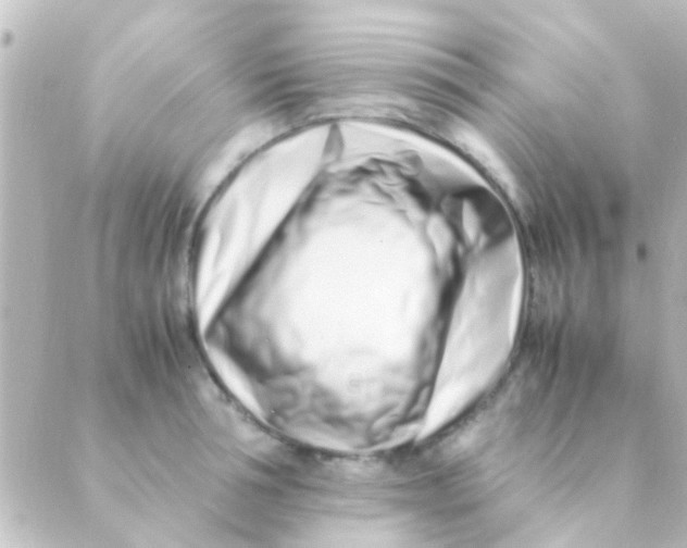 X0000088660994200706221631