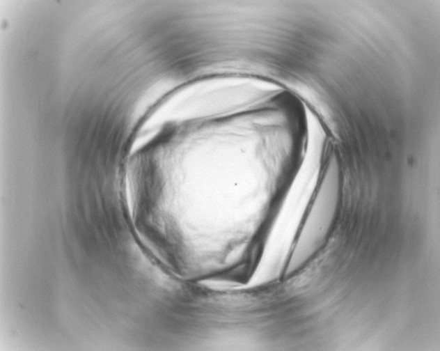 X0000088660998200706221631