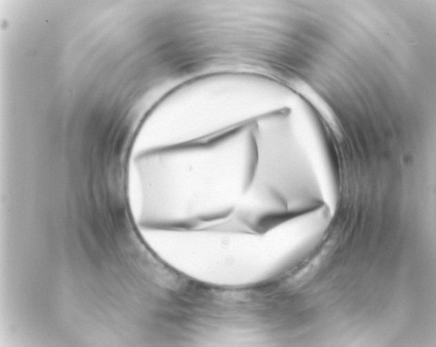 X0000088661004200706221631