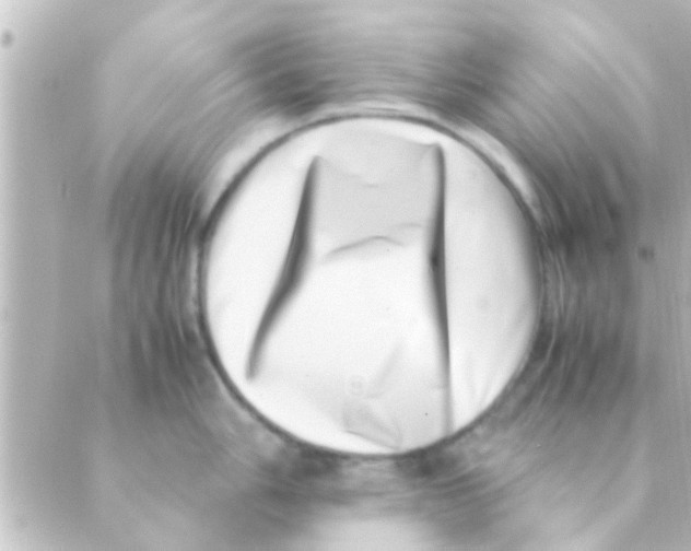 X0000088661006200706221630