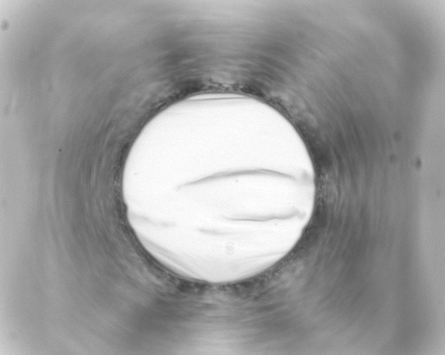X0000088661009200706221630