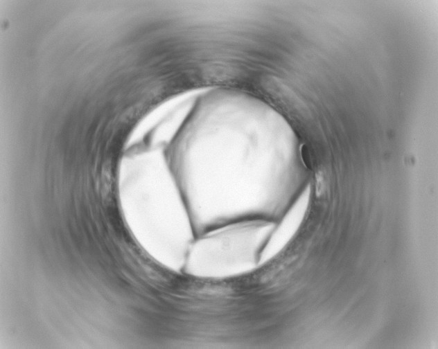 X0000088661011200706221630