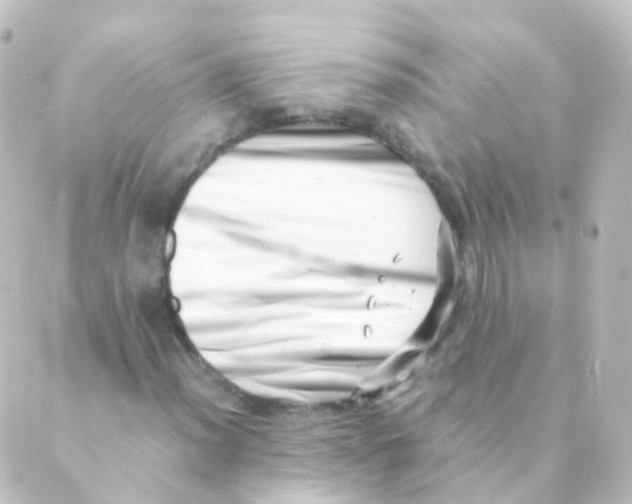 X0000088661012200706221630