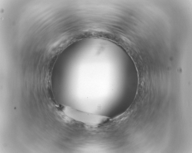 X0000088661014200706221630