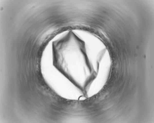 X0000088661016200706221630