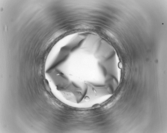 X0000088661017200706221630