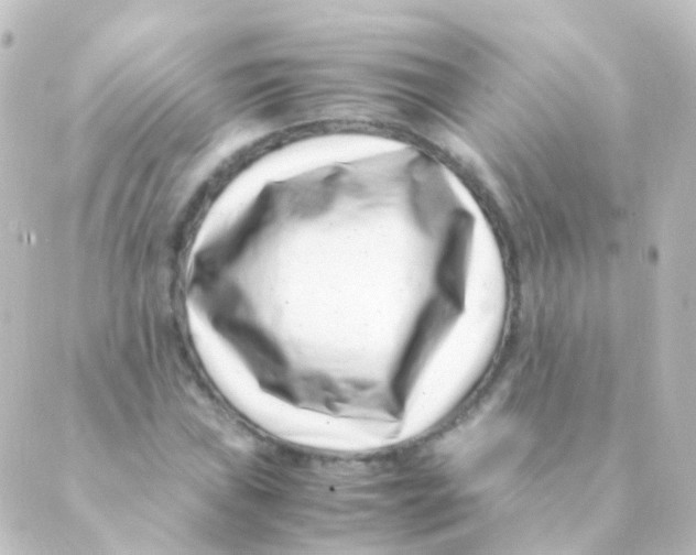X0000088661019200706221630
