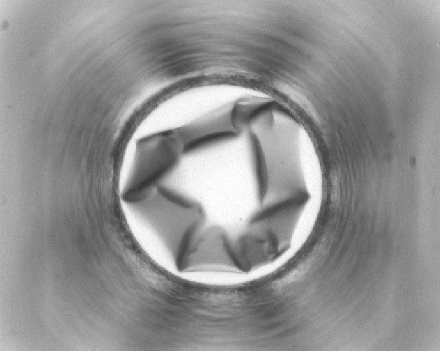 X0000088661021200706221630