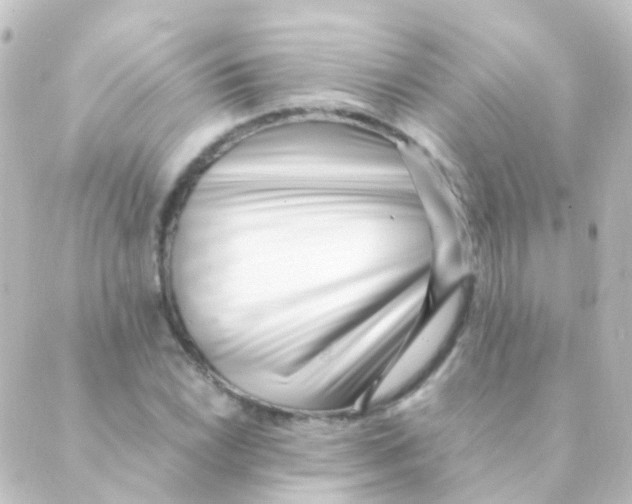 X0000088661022200706221630