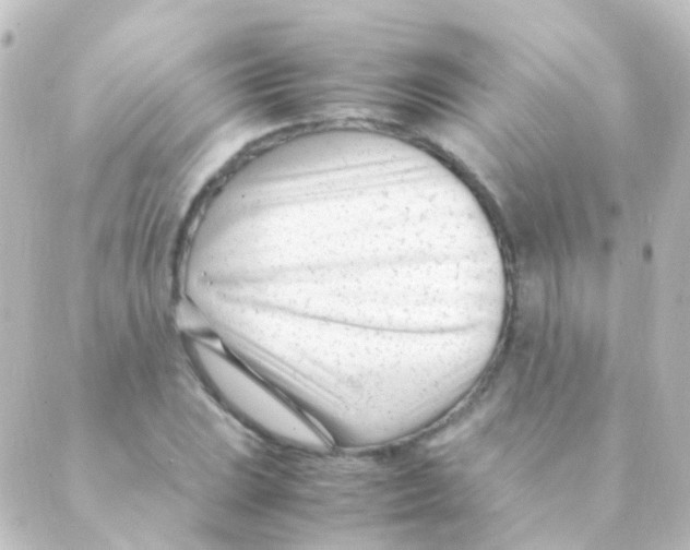 X0000088661023200706221630