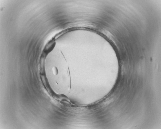 X0000088661024200706221630