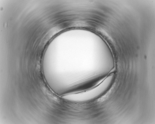 X0000088661025200706221630