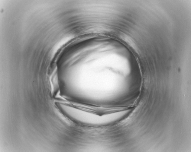 X0000088661026200706221630