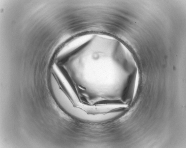X0000088661029200706221630