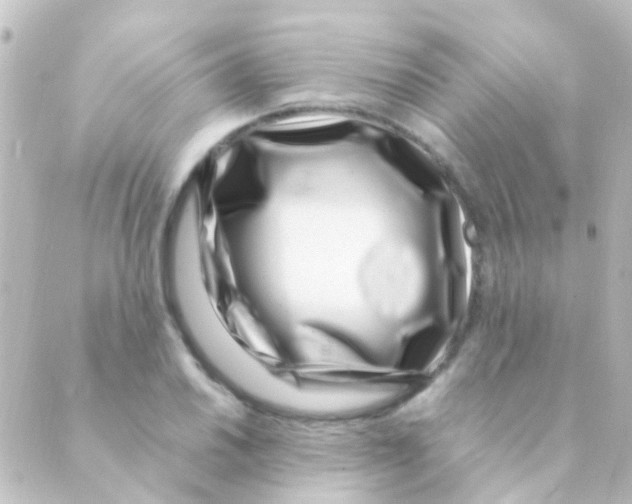 X0000088661030200706221630