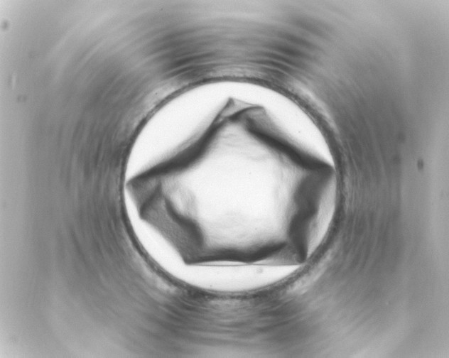 X0000088661033200706221630