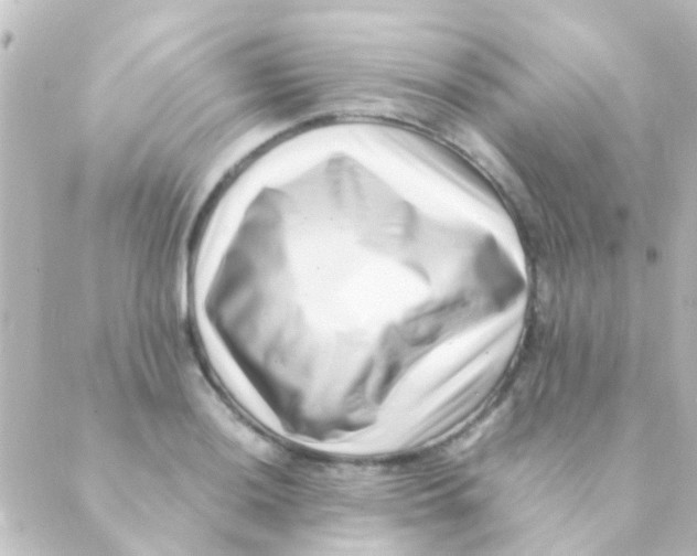 X0000088661036200706221630
