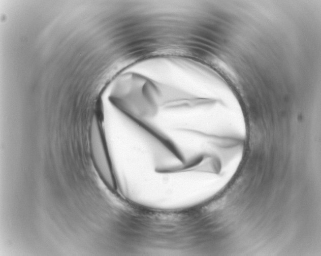 X0000088661041200706221630