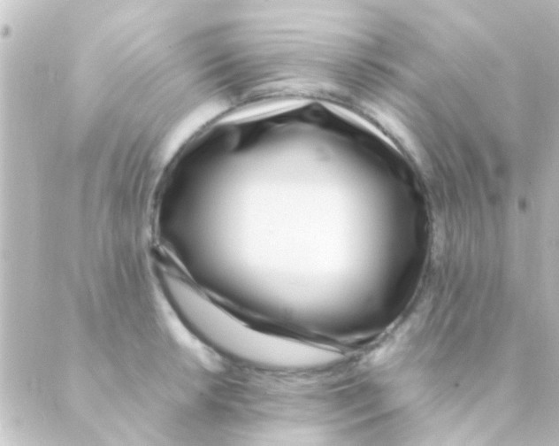 X0000088661042200706221630