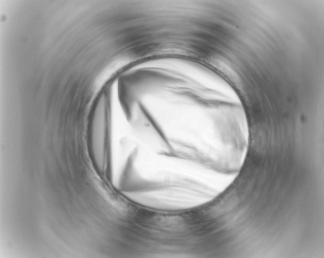 X0000088661043200706221630