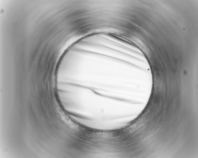 X0000088661044200706221630