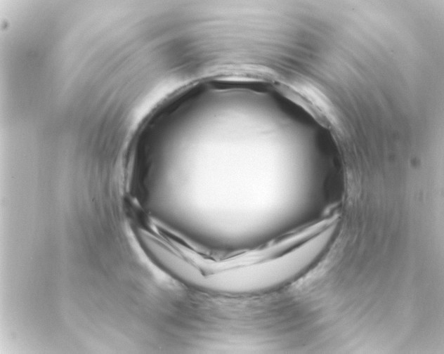 X0000088661046200706221630