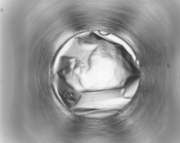 X0000088661047200706221630