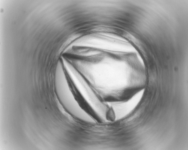 X0000088661049200706221630