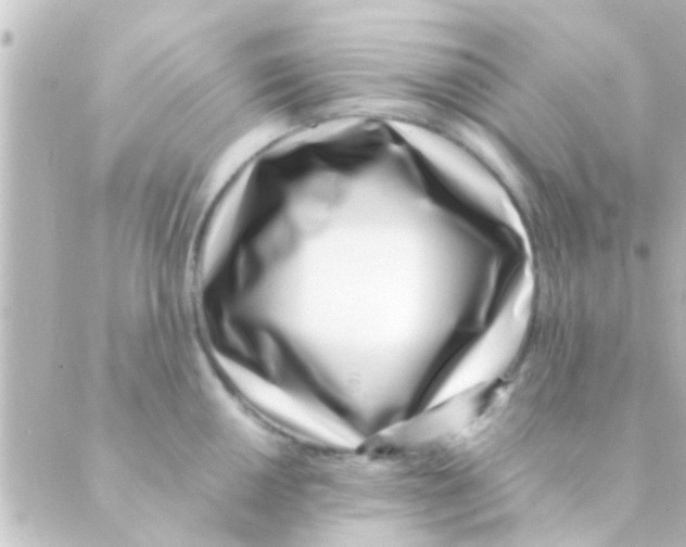 X0000088661050200706221630