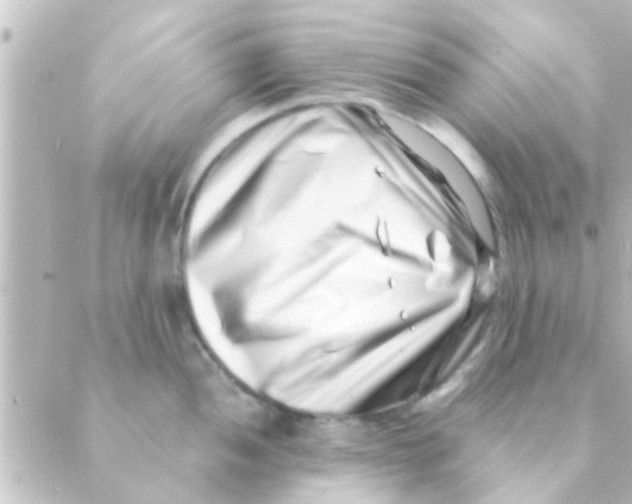 X0000088661052200706221630