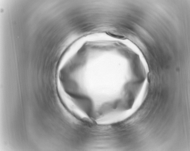 X0000088661055200706221630