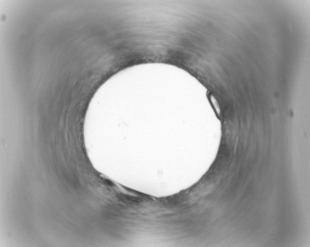 X0000088661057200706221630