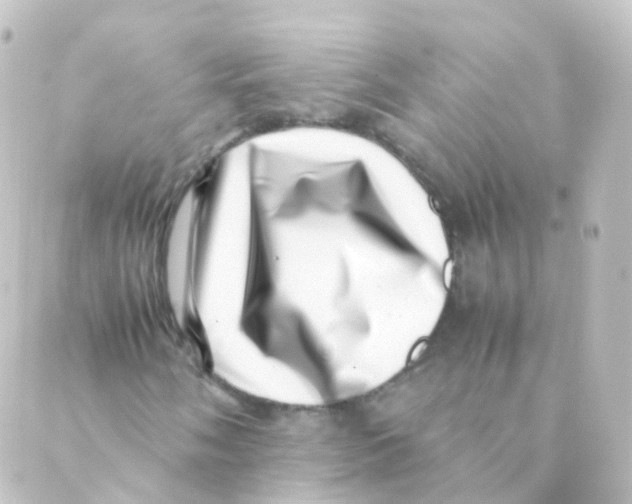 X0000088661058200706221630