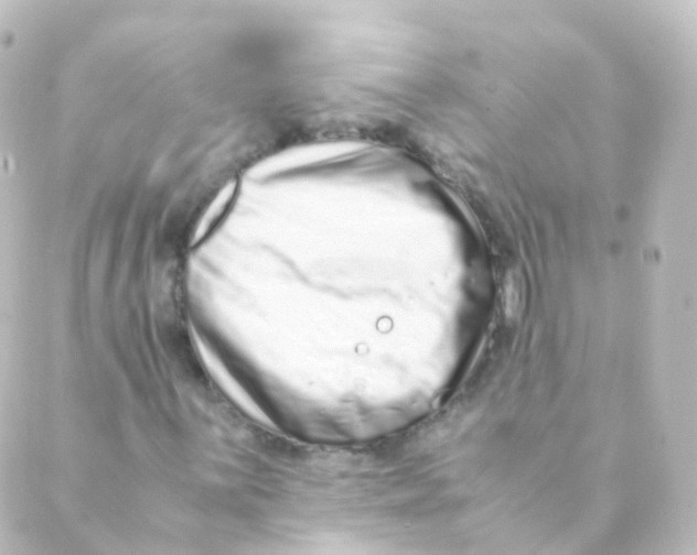 X0000088661059200706221630