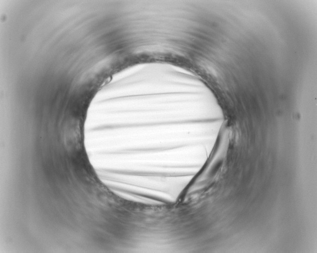 X0000088661062200706221630