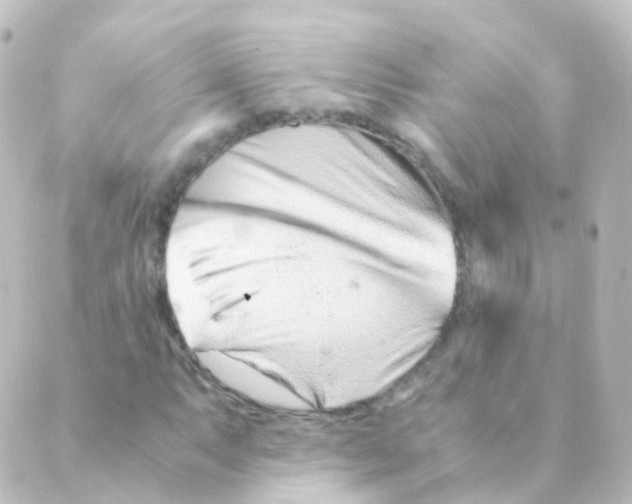 X0000088661063200706221630