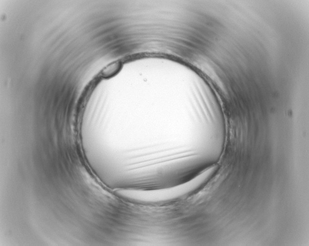 X0000088661068200706221629