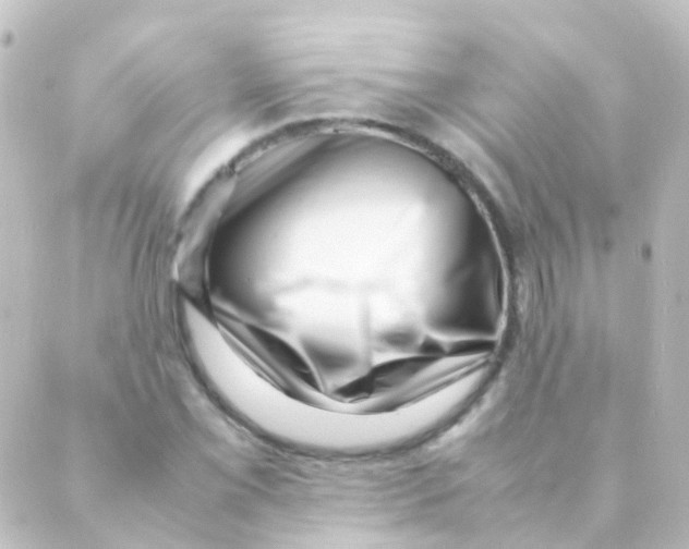 X0000088661069200706221629