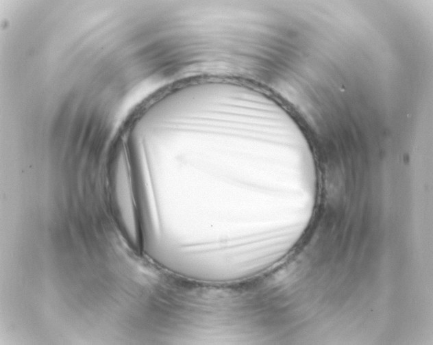 X0000088661070200706221629