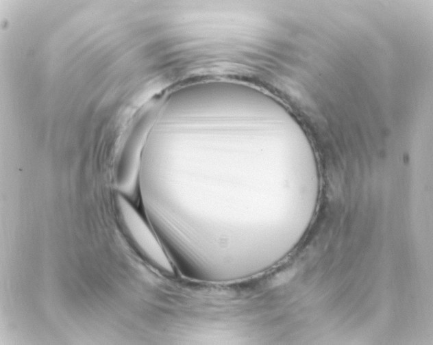 X0000088661073200706221629