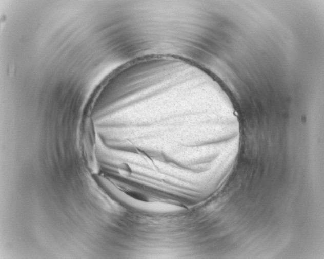 X0000088661076200706221629