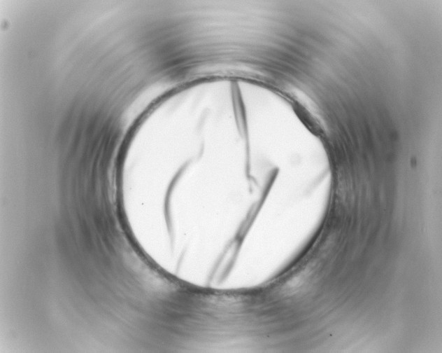 X0000088661082200706221629
