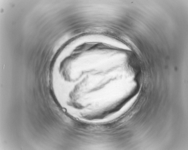 X0000088661083200706221629