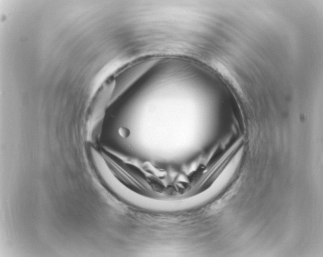 X0000088661085200706221629