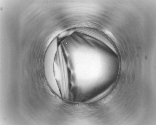 X0000088661089200706221629