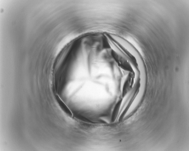 X0000088661093200706221629
