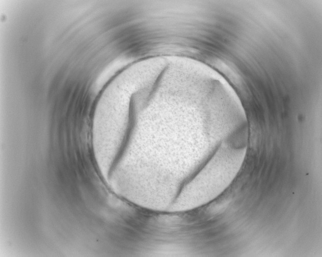 X0000088661094200706221629